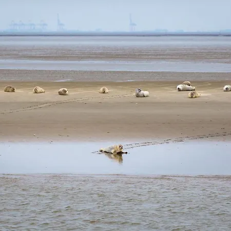 Kuestenkind - Lage - Garten Eingezaeunt Dom wakacyjny