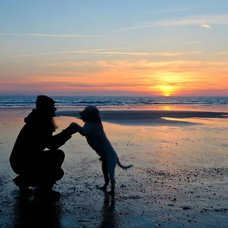 Dom wakacyjny Kuestenkind - Lage - Garten Eingezaeunt