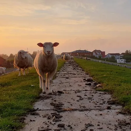 Küstenkind Butjadingen