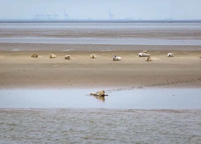 Kuestenkind - Lage - Garten Eingezaeunt Tatil Evi