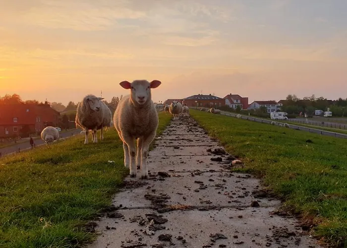 Kuestenkind - Lage - Garten Eingezaeunt Butjadingen